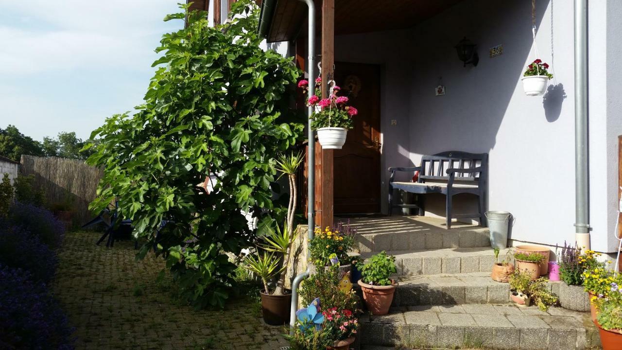 Appartement Urlaub Im Elsass